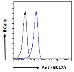 BCL7A Antibody in Flow Cytometry (Flow)