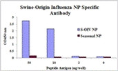 Swine Influenza H1N1 NP Antibody in ELISA (ELISA)