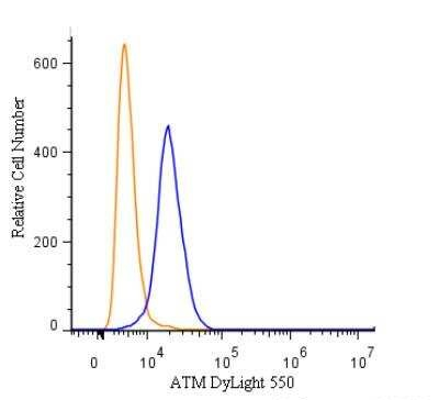 ATM Antibody in Flow Cytometry (Flow)