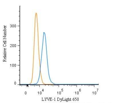 LYVE1 Antibody in Flow Cytometry (Flow)