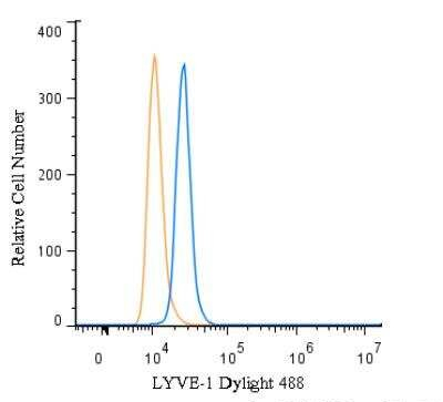 LYVE1 Antibody in Flow Cytometry (Flow)
