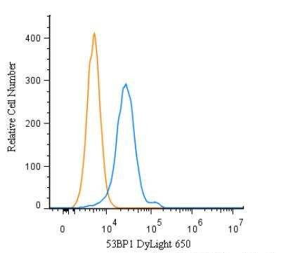 53BP1 Antibody in Flow Cytometry (Flow)