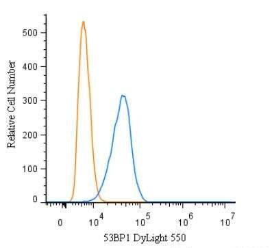 53BP1 Antibody in Flow Cytometry (Flow)