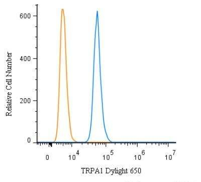 TRPA1 Antibody in Flow Cytometry (Flow)
