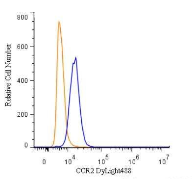 CCR2 Antibody in Flow Cytometry (Flow)