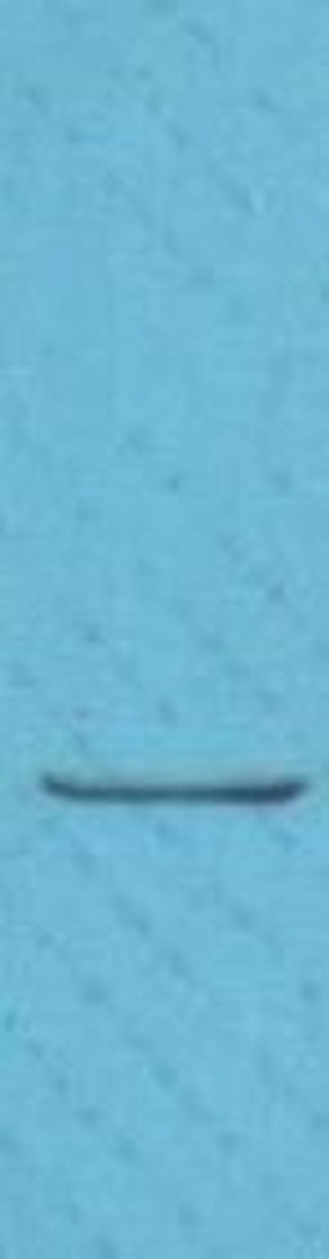 Phospho-p21/Cip1 (Thr145) Antibody in Western Blot (WB)