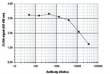 H4ac pan-acetyl (K5,K8,K12,K16) Antibody in ELISA (ELISA)