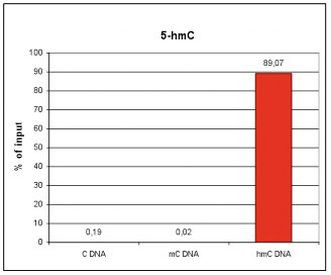 5-hydroxymethylcytosine Antibody in Immunoprecipitation (IP)