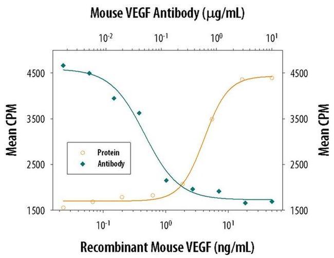 VEGF-164 Antibody