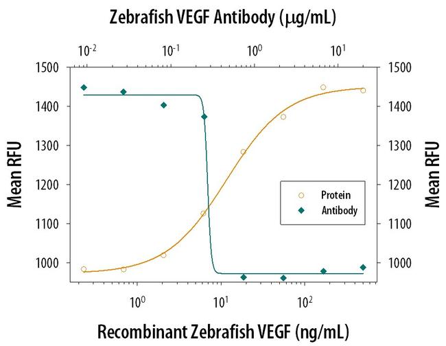 VEGF-165 Antibody in Neutralization (Neu)