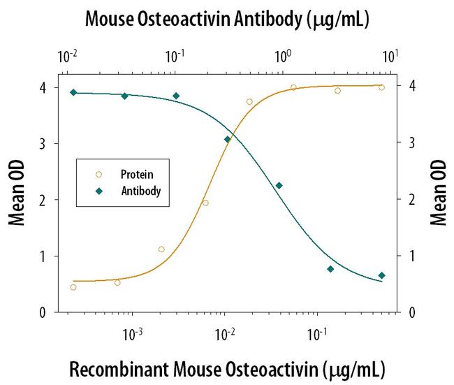 GPNMB Antibody in Neutralization (Neu)