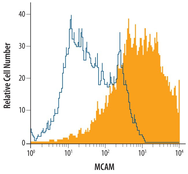 CD146 Antibody in Flow Cytometry (Flow)