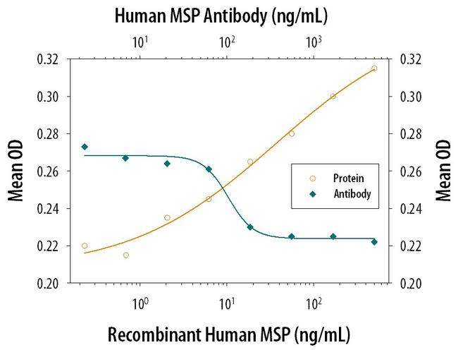 MSP Antibody in Neutralization (Neu)