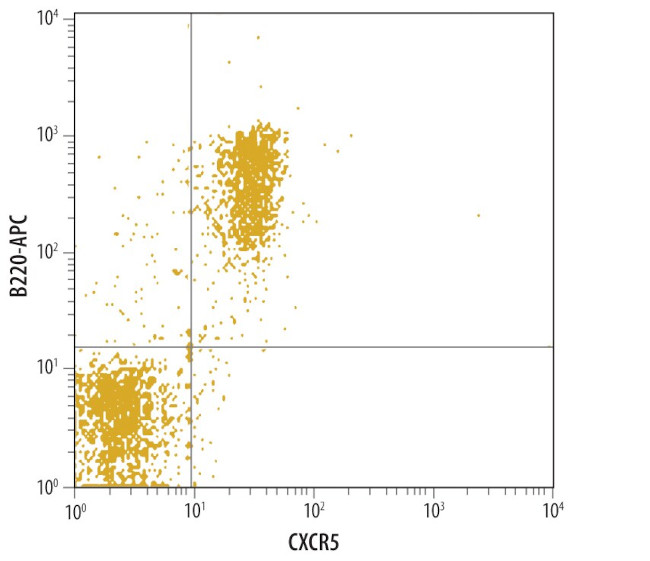 CXCR5 Antibody in Flow Cytometry (Flow)