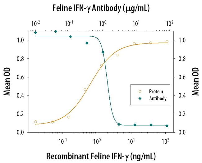 IFN gamma Antibody in Neutralization (Neu)