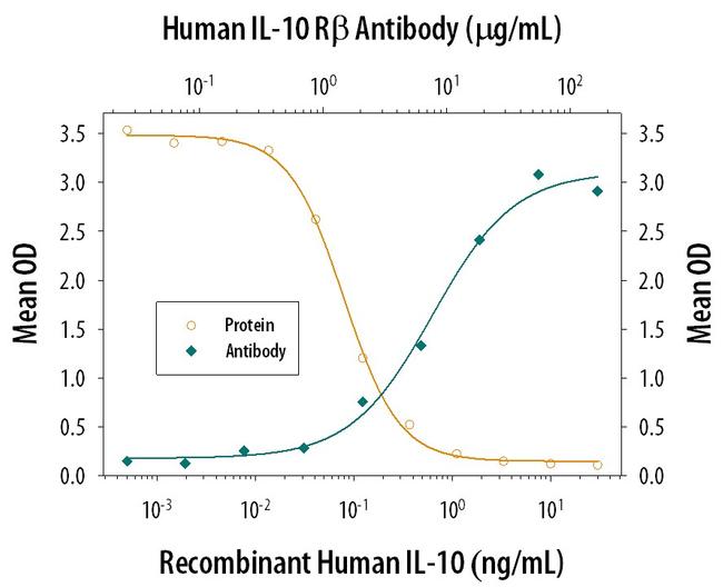 IL10RB Antibody in Neutralization (Neu)