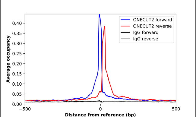 ONECUT2 Antibody in ChIP Assay (ChIP)