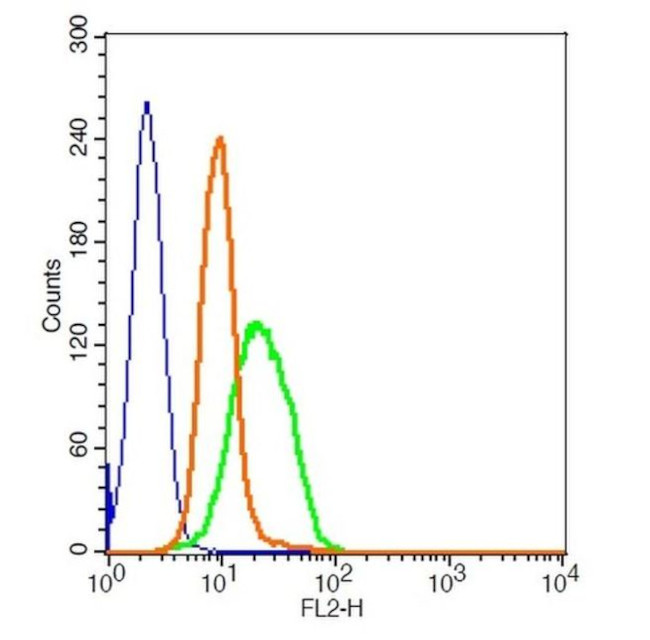 GLP1R Antibody in Flow Cytometry (Flow)