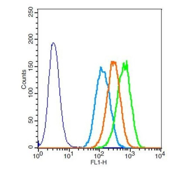 Elastin Antibody in Flow Cytometry (Flow)