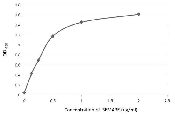SEMA3E Antibody in ELISA (ELISA)