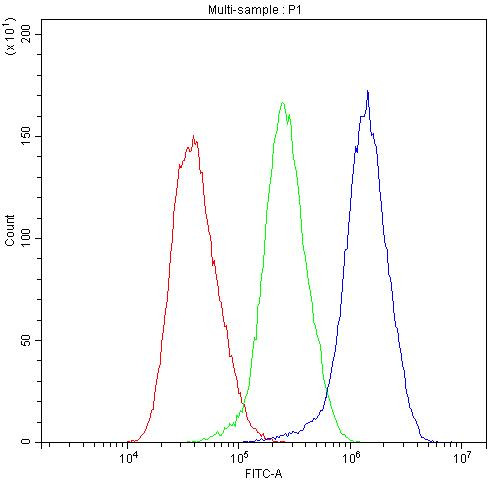 alpha Actinin 3 Antibody in Flow Cytometry (Flow)
