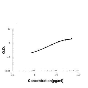ADAMTS13 Antibody in ELISA (ELISA)