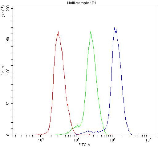 ATF1 Antibody in Flow Cytometry (Flow)
