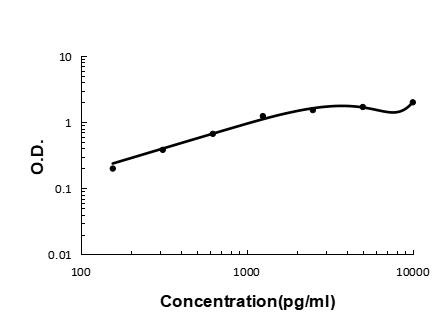 Carboxypeptidase B2 Antibody in ELISA (ELISA)