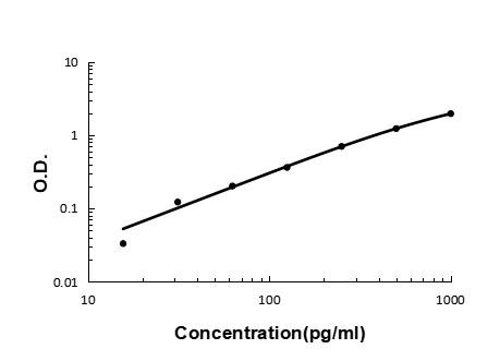 CXCL1 (GRO alpha) Antibody in ELISA (ELISA)