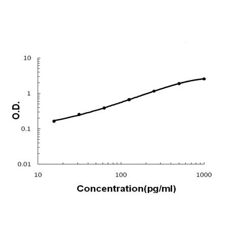 FGF19 Antibody in ELISA (ELISA)