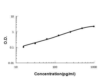 IL-13 Antibody in ELISA (ELISA)