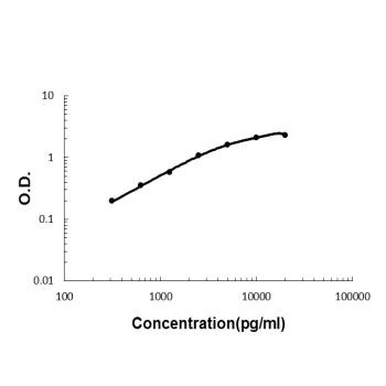 MBL2 Antibody in ELISA (ELISA)