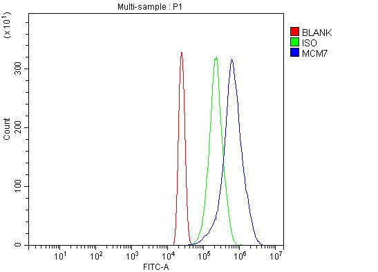 MCM7 Antibody in Flow Cytometry (Flow)