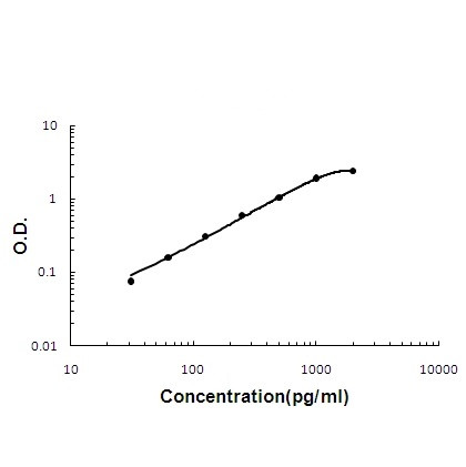 Oncostatin M Antibody in ELISA (ELISA)