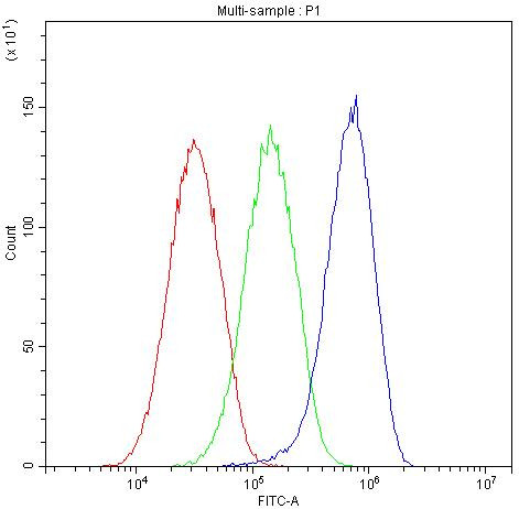 PNP Antibody in Flow Cytometry (Flow)