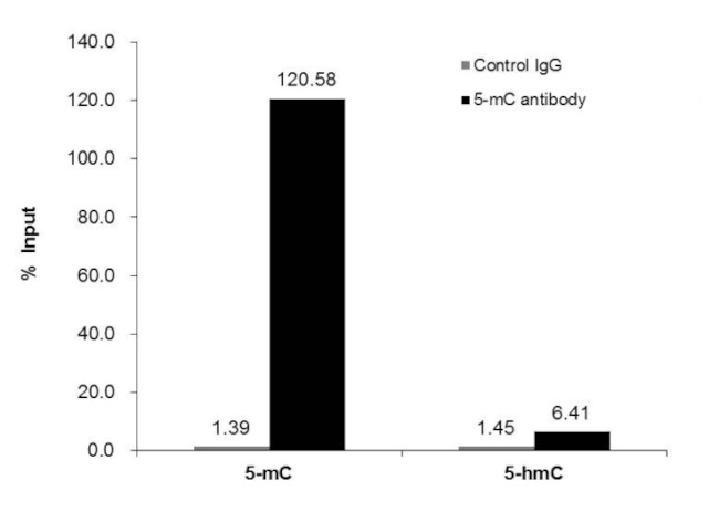 5-Methylcytosine Antibody in Methylated DNA Immunoprecipitation (MeDIP)