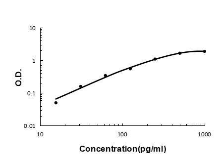 Transthyretin Antibody in ELISA (ELISA)
