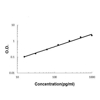 IL-22 Antibody in ELISA (ELISA)