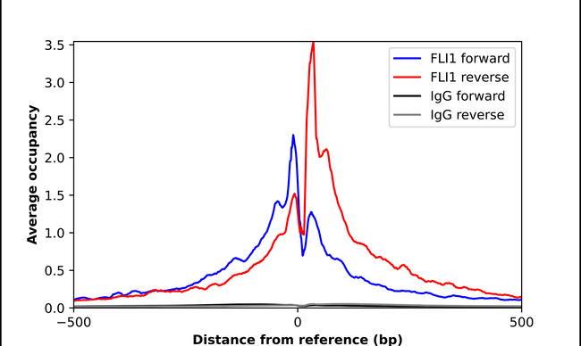 FLI1 Antibody in ChIP Assay (ChIP)