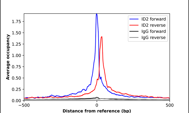 ID2 Antibody in ChIP Assay (ChIP)