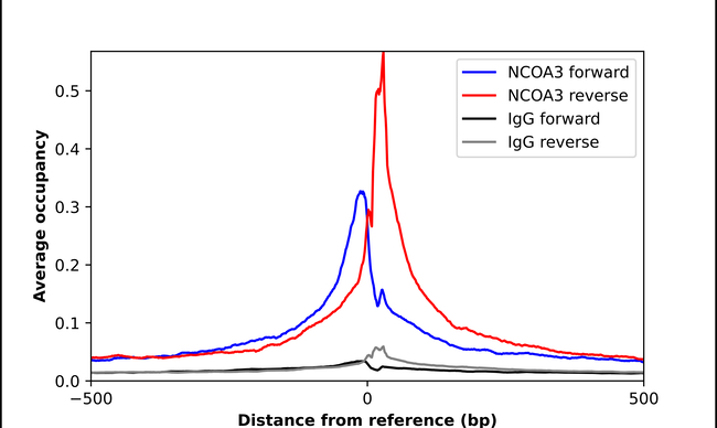 SRC3 Antibody in ChIP Assay (ChIP)