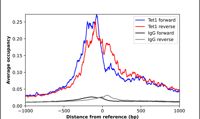 TET1 Antibody in ChIP Assay (ChIP)