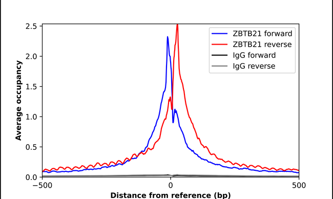 ZNF295 Antibody in ChIP Assay (ChIP)