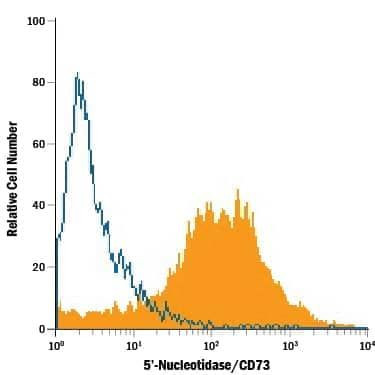 CD73 Antibody in Flow Cytometry (Flow)