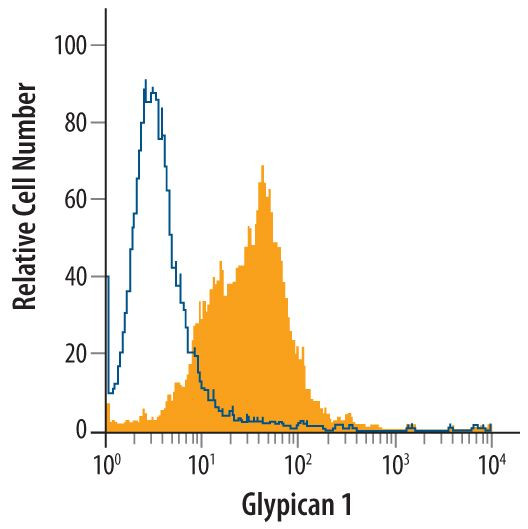 Glypican 1 Antibody in Flow Cytometry (Flow)