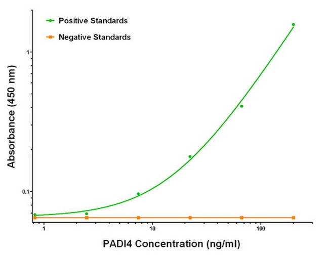 PADI4 Antibody in ELISA (ELISA)
