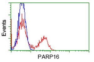 PARP16 Antibody in Flow Cytometry (Flow)