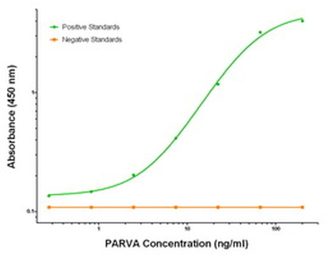 PARVA Antibody in ELISA (ELISA)
