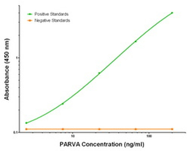 PARVA Antibody in ELISA (ELISA)