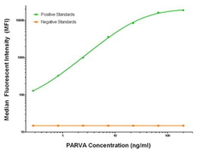 PARVA Antibody in Luminex (Luminex)